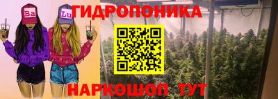 гидропоника Бийск