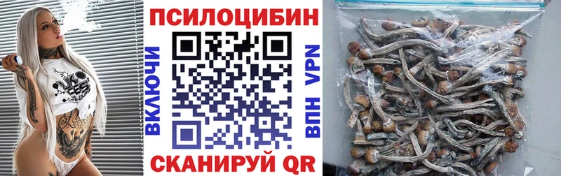 Псилоцибиновые грибы Cubensis Гусь-Хрустальный