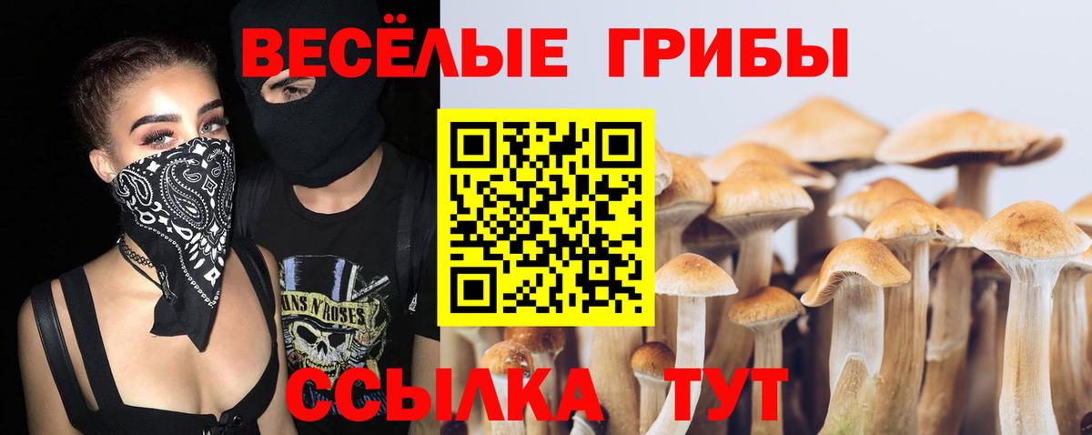 Галлюциногенные грибы ЛСД Гусь-Хрустальный