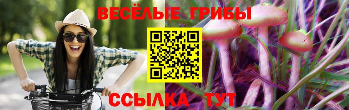 Псилоцибиновые грибы Psilocybe  Вход с VPN  Гусь-Хрустальный 